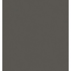 MB-55579 IN