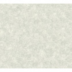 AS-37428-2 IN