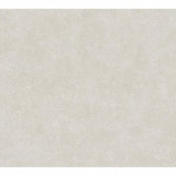 AS-37655-5 IN