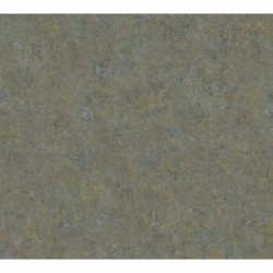 AS-37656-1 IN