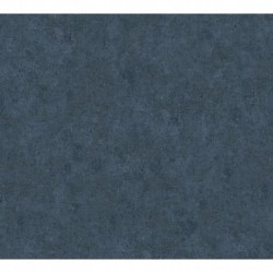 AS-37656-2 IN