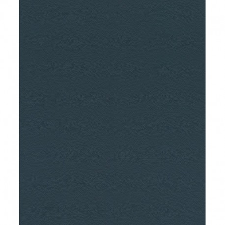 R-752670 IN