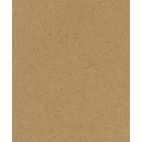 R-520897 IN