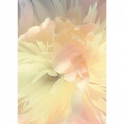 R-839807 IN
