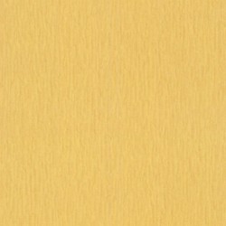 R-570083 IN