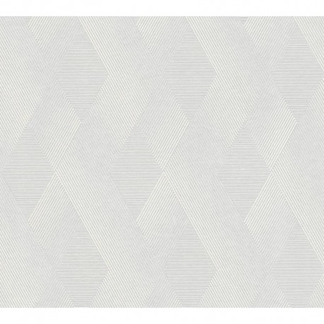 AS-95685-1 IN