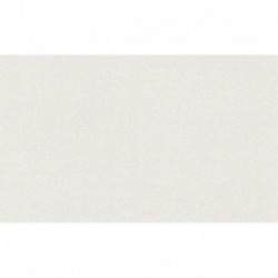 AS-38702-3 IN