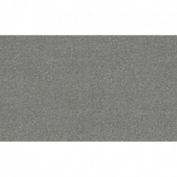 AS-38702-5 IN