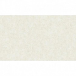 AS-38922-4 IN