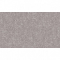 AS-38923-2 IN