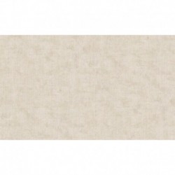 AS-38826-2 IN