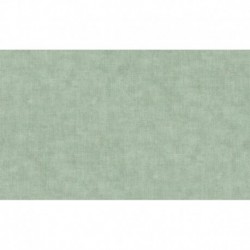 AS-38826-4 IN