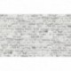 AS-38829-4 IN