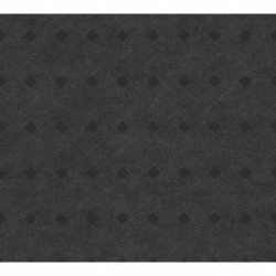 AS-38029-1 IN