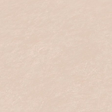 AS-38594-6 IN