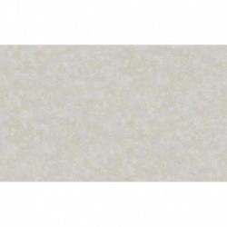 AS-37902-3 IN