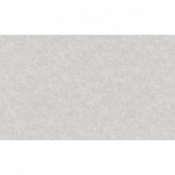 AS-37902-4 IN