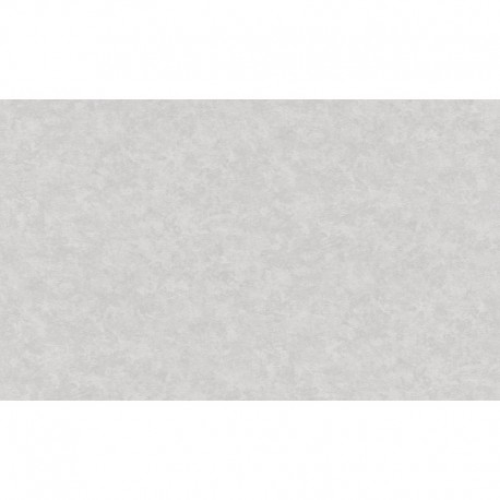 AS-37902-4 IN