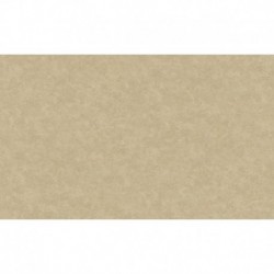 AS-37902-5 IN