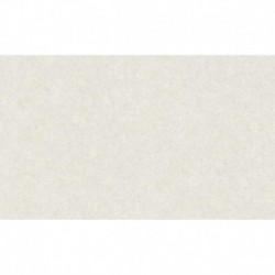 AS-37913-1 IN