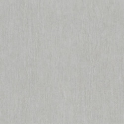 Z-76007 IN