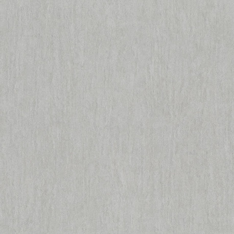 Z-76007 IN