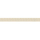 AS-25921-9 IN