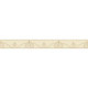 AS-36999-2 IN