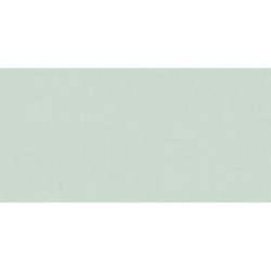 AS-39330-6 IN