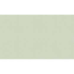 AS-36713-6 IN