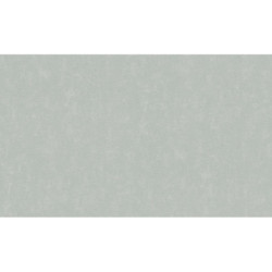 AS-39339-4 IN