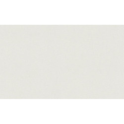 AS-39339-6 IN