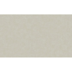 AS-39341-2 IN