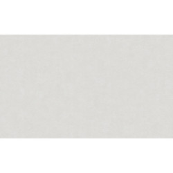 AS-39341-5 IN
