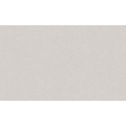 AS-36721-4 IN