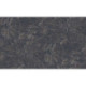AS-39560-5 IN