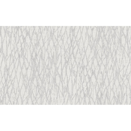 AS-39563-2 IN