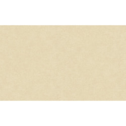 AS-39565-3 IN