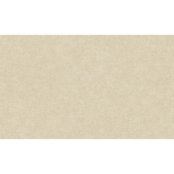 AS-39565-5 IN