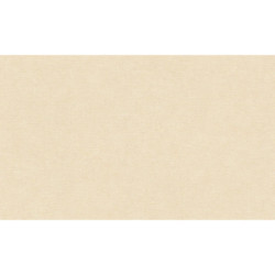 AS-39565-6 IN