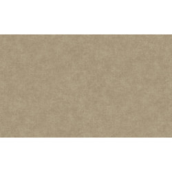 AS-39566-6 IN