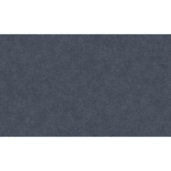 AS-39567-2 IN