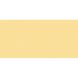 AS-38903-6 IN