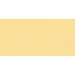 AS-38903-6 IN