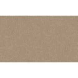 AS-36925-1 IN