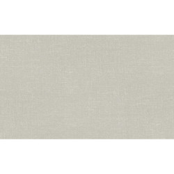 AS-39648-5 IN