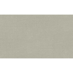 AS-39648-6 IN