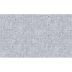 AS-39656-1 IN
