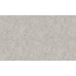AS-39656-2 IN