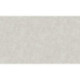 AS-39656-3 IN